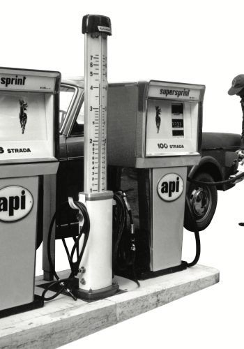IP Gruppo api banner storia